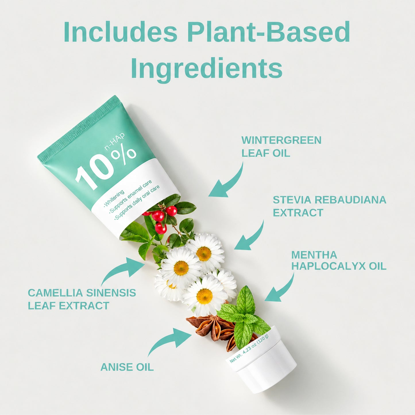 MINT NANO-HYDROXYAPATITE TOOTHPASTE, 2 Pack